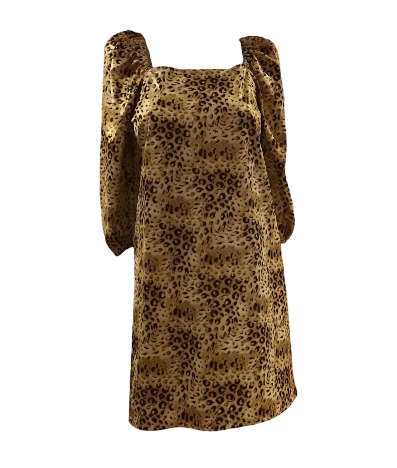 Leopard Print Mini Dress