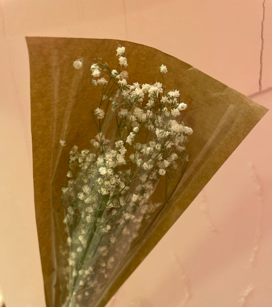 Dried White Gypsophila