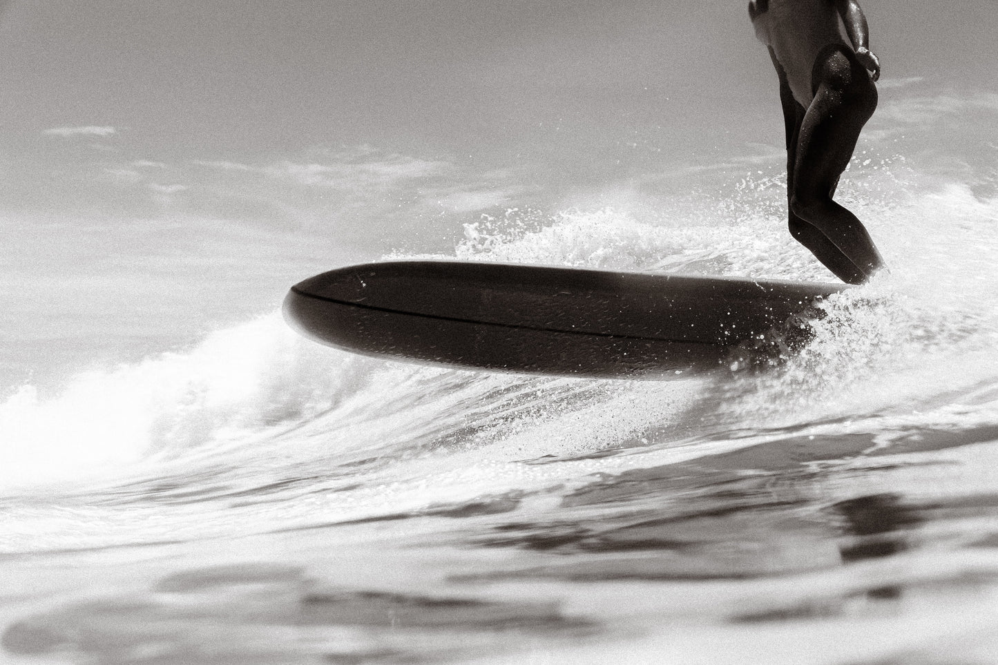 Surfer B&W Poster