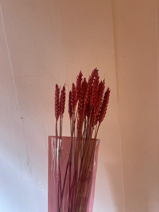 Red wheat