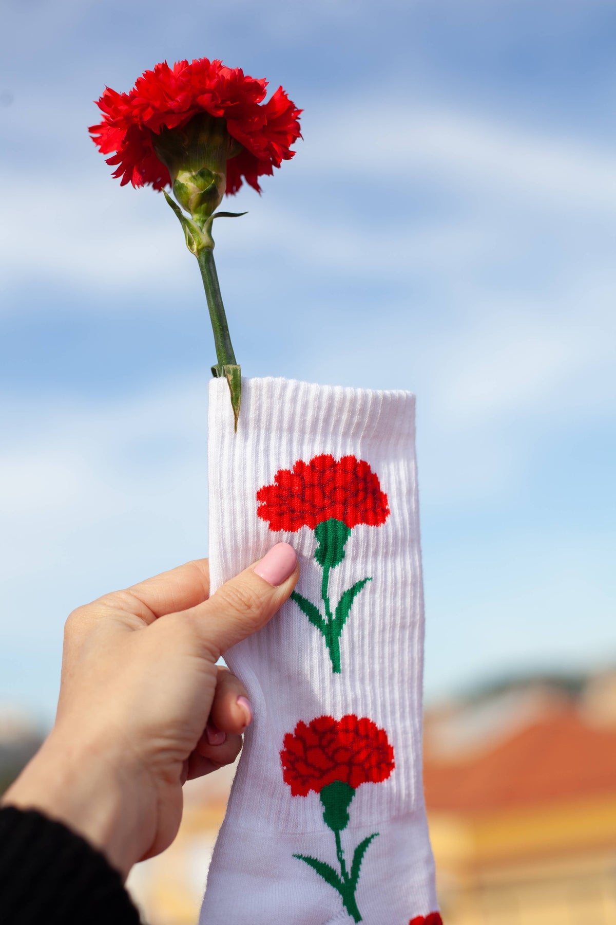 FREEDOM SOCKS