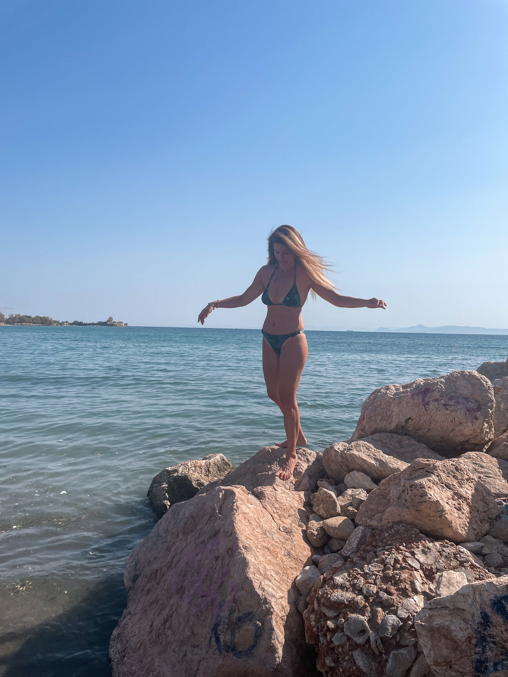 Μπικίνι Τρίγωνο Δάσους