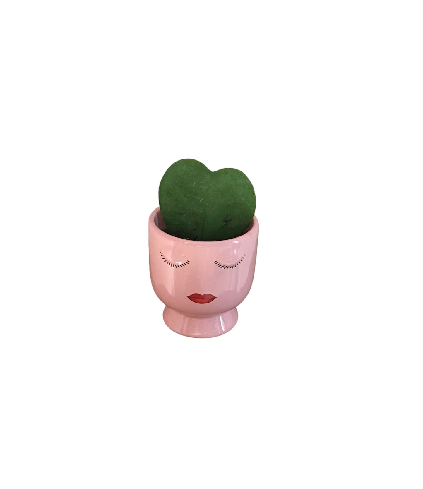 Mini Planter with Hand-Painted Woman Face and Green Plant