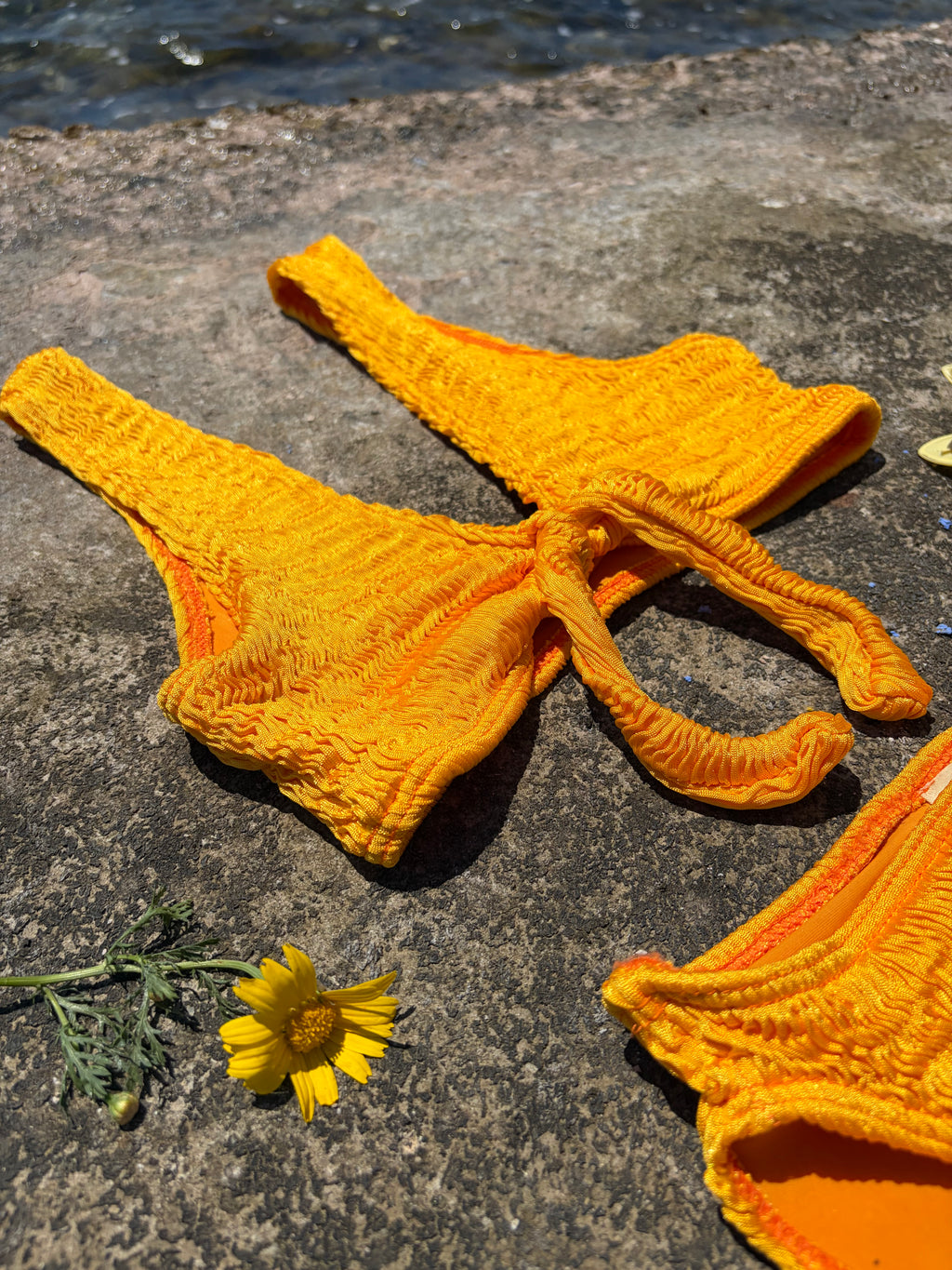 Τοπ Μπικίνι Coraline Crinkle