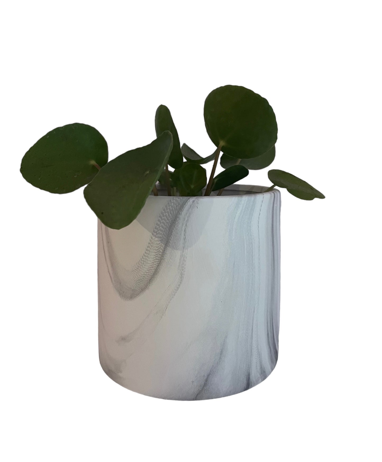 Marble-like Pot