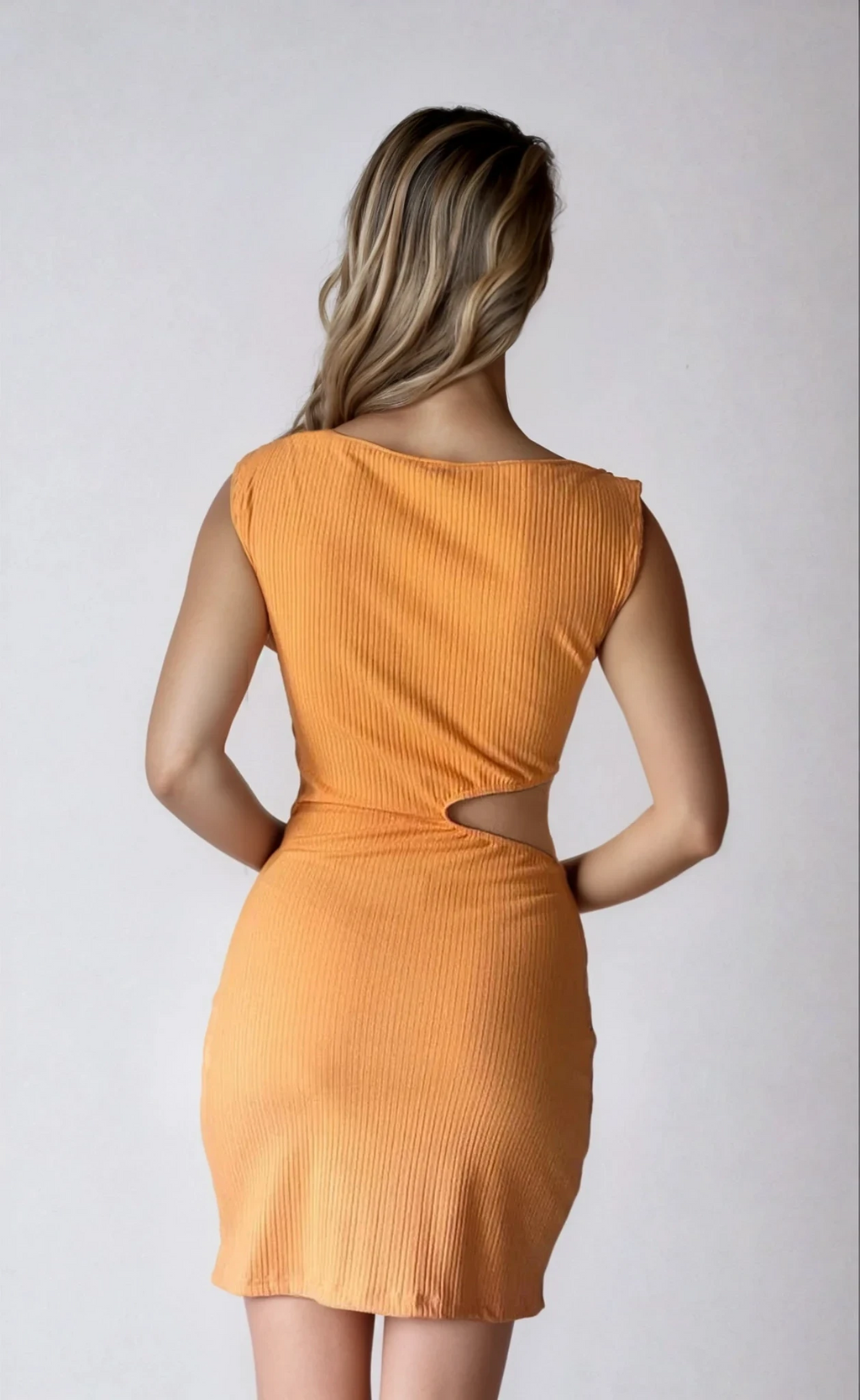 Apricot Bay Mini Dress