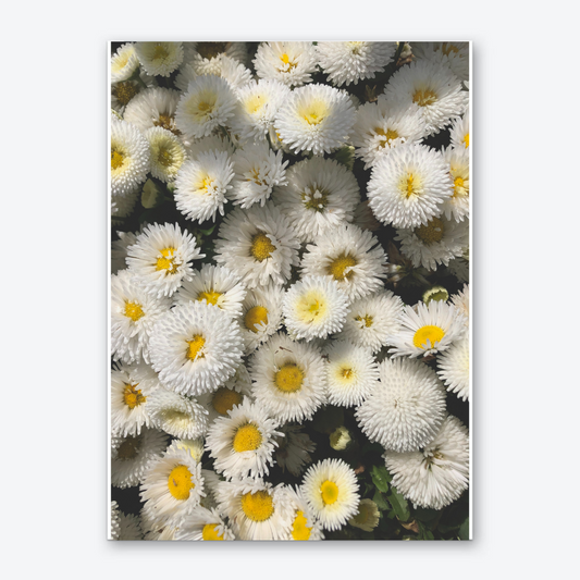 Flowers Poster A3/A4