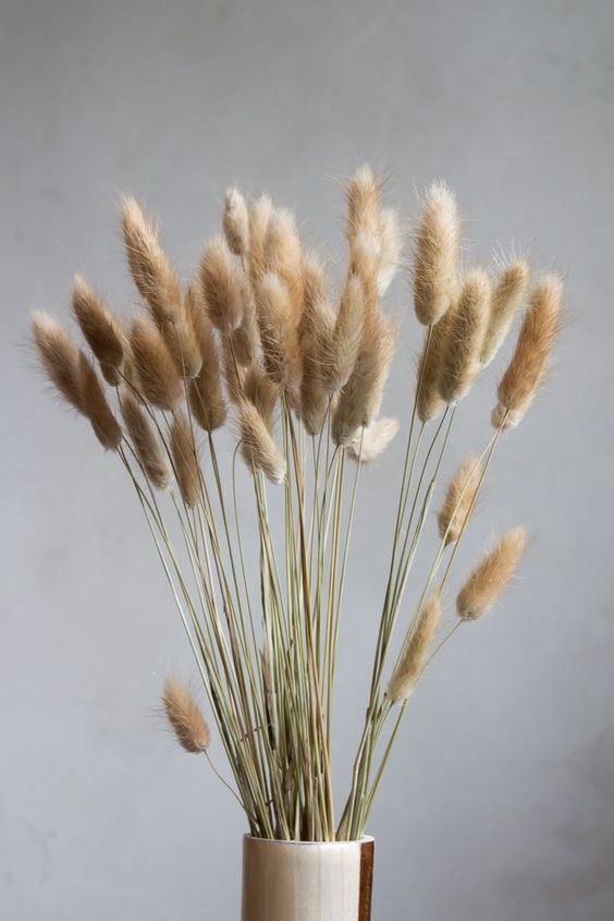 Natural Bunny Tails Bouquet