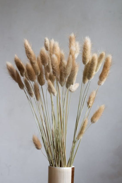 Μπουκέτο Natural Bunny Tails