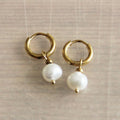 Stainless steel creole with freshwater pearl drop - gold