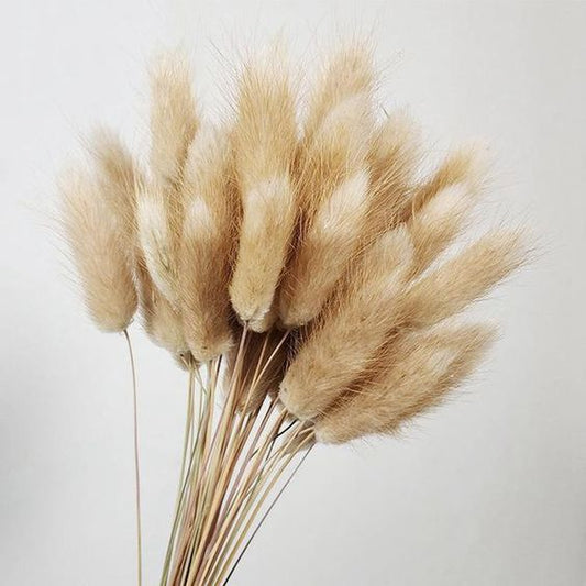Natural Bunny Tails Bouquet