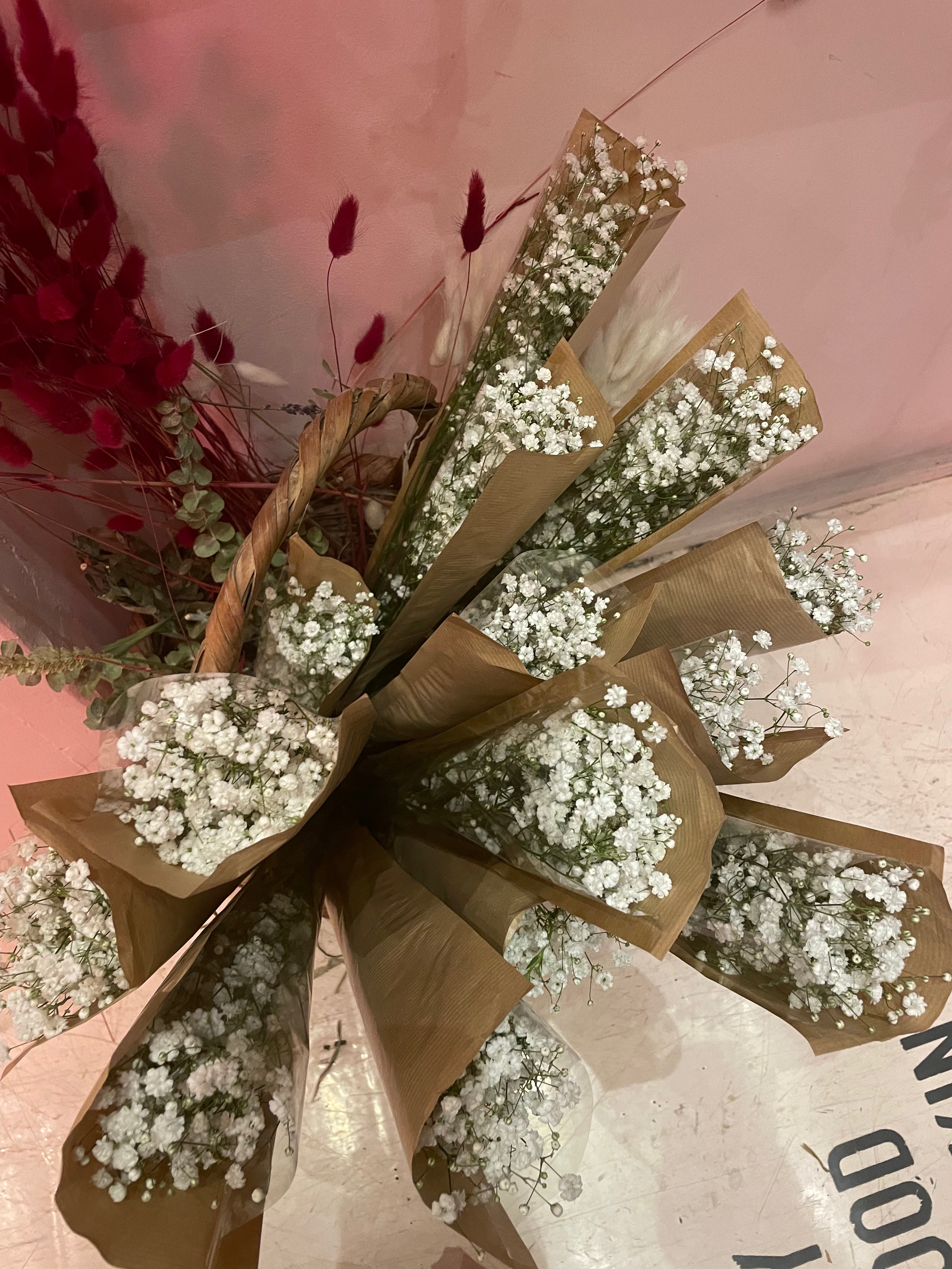 Dried White Gypsophila