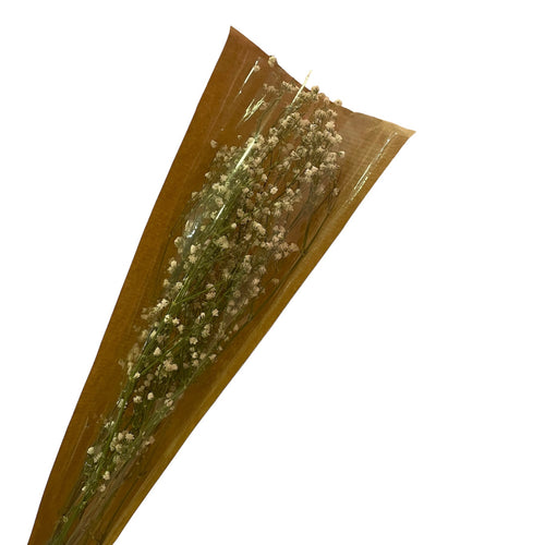 Dried White Gypsophila