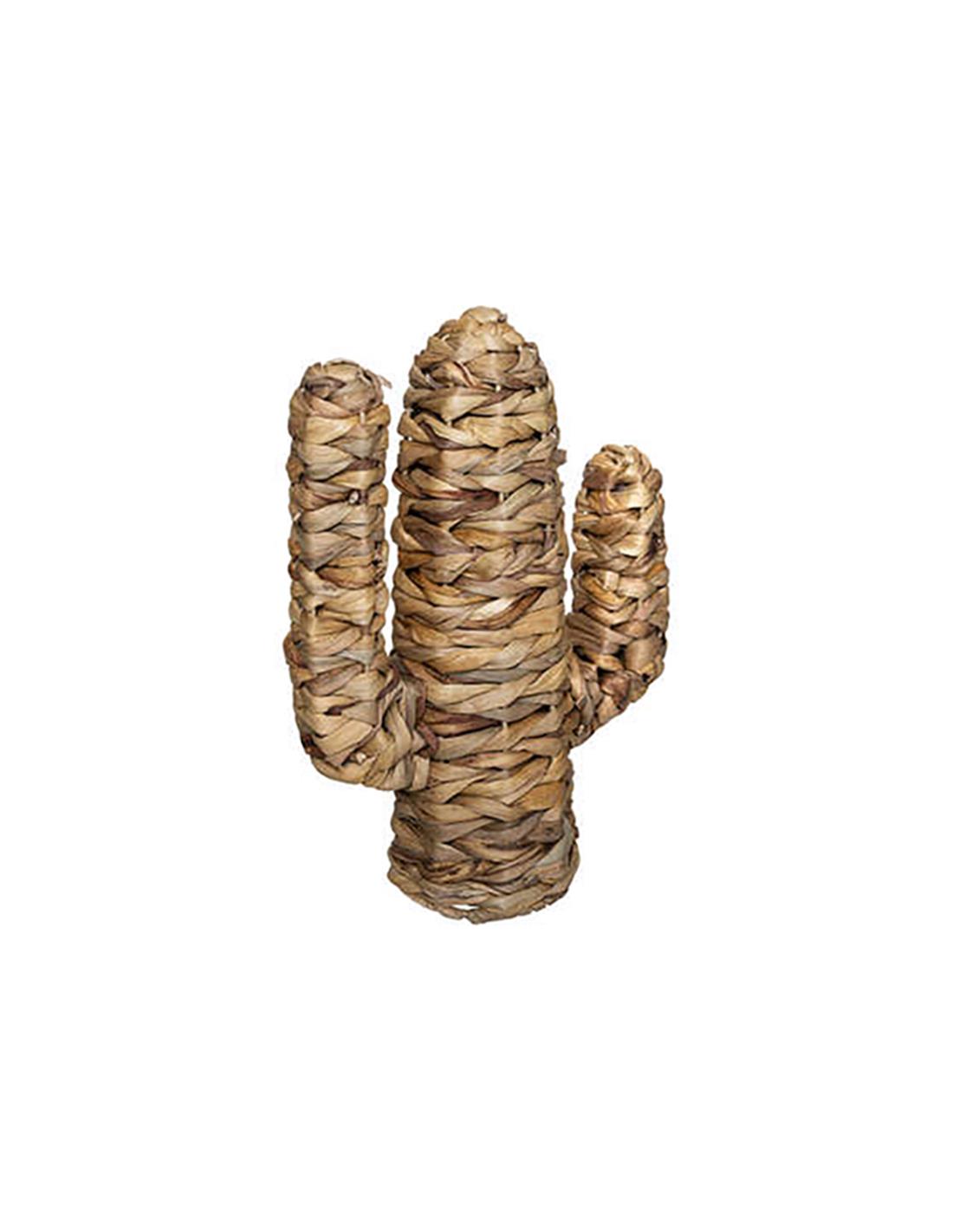 Seagrass Large Cactus